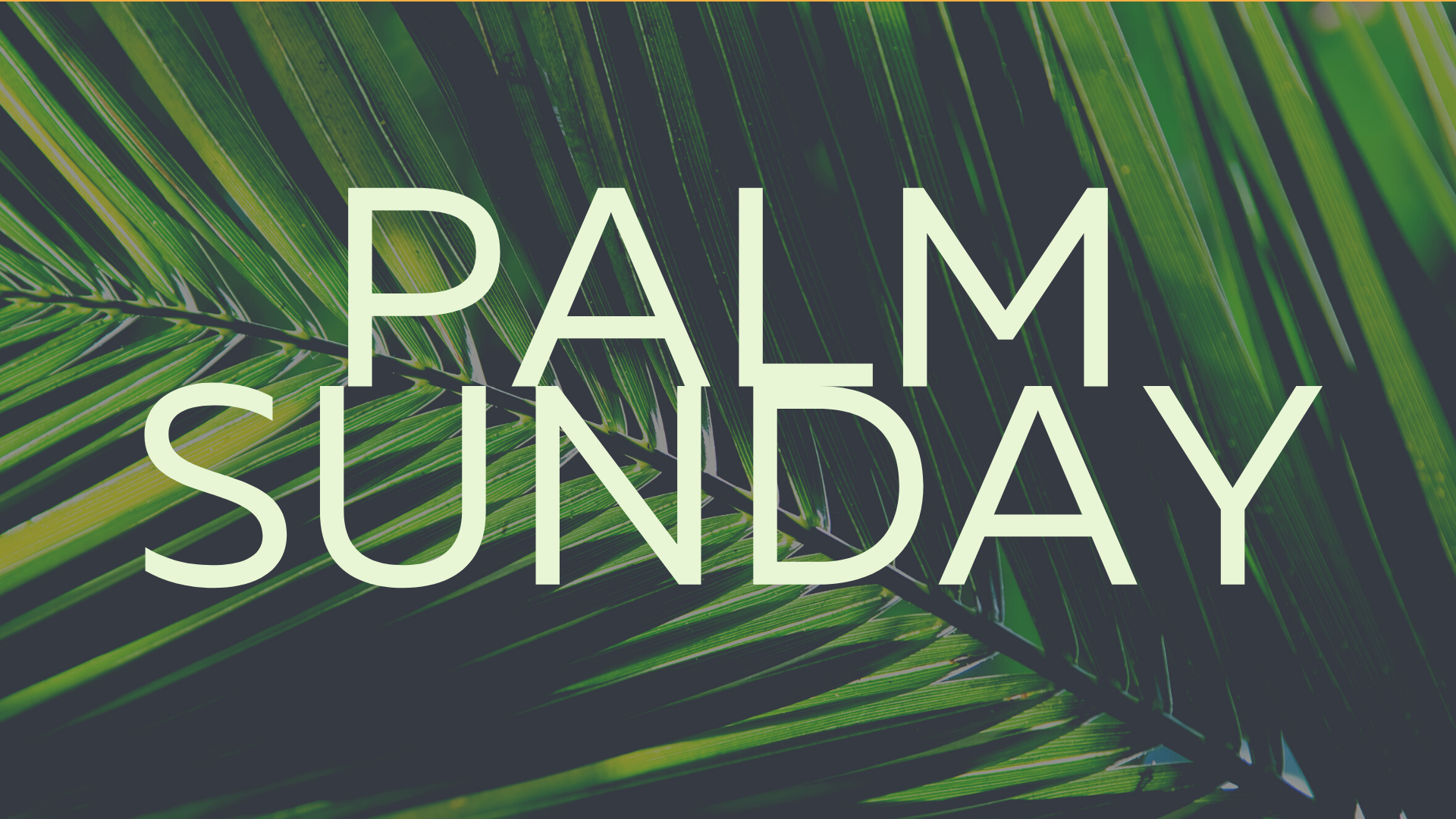 Palm Sunday